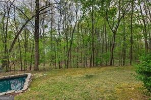 27 Christopher Ridge Cartersville - Photo 57