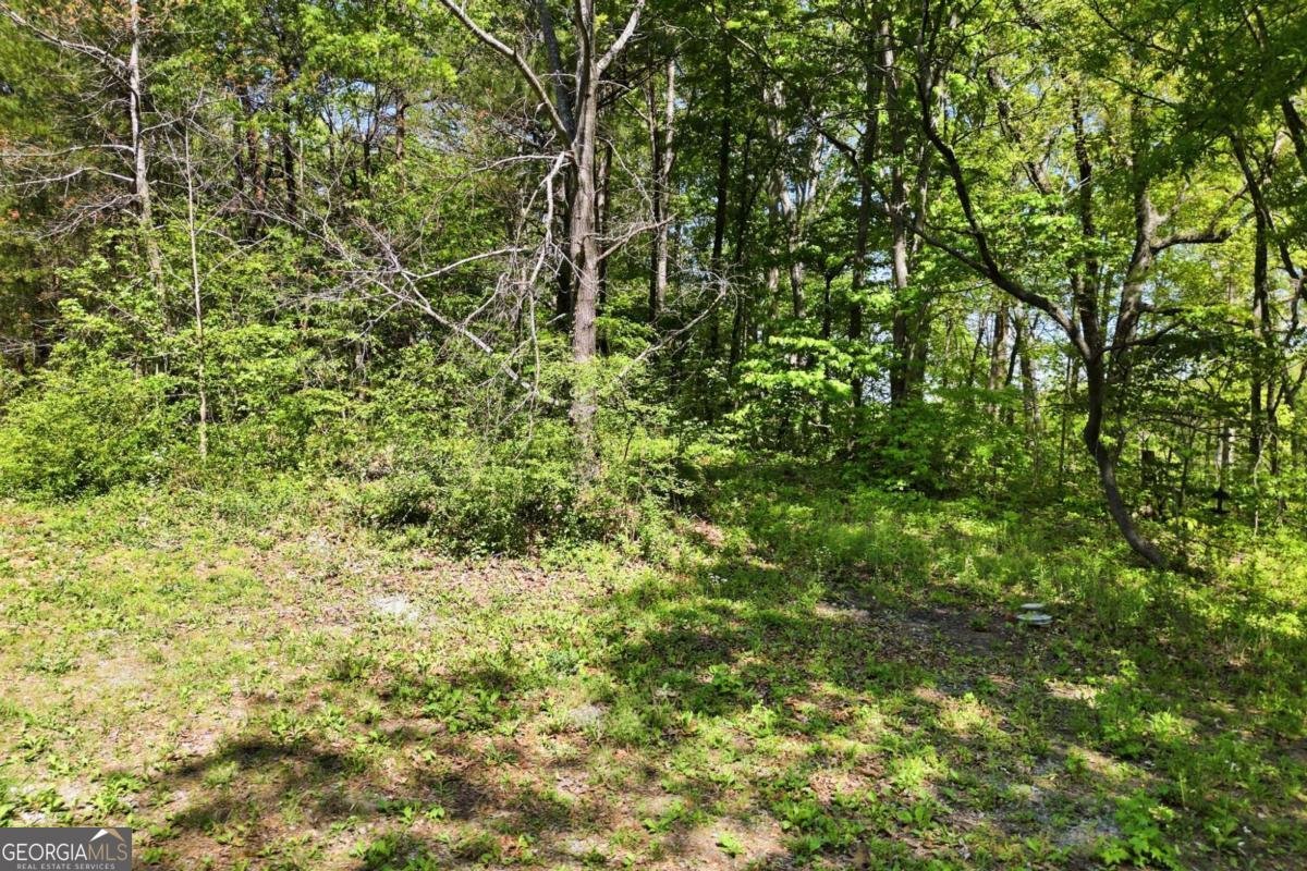 2686 Scott Brown Road Fairmount - Photo 28