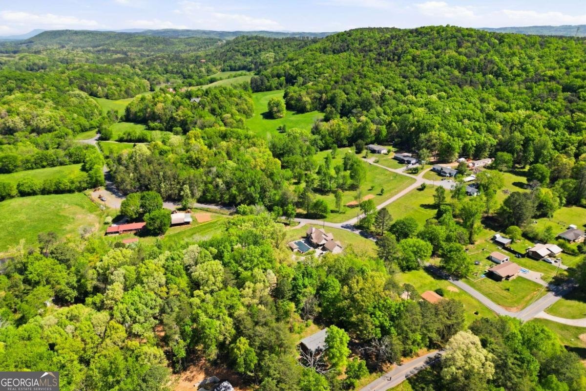 2686 Scott Brown Road Fairmount - Photo 30