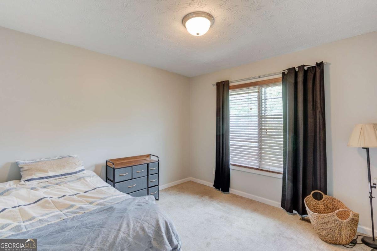 4688 Eucalyptus Way Flowery Branch - Photo 10