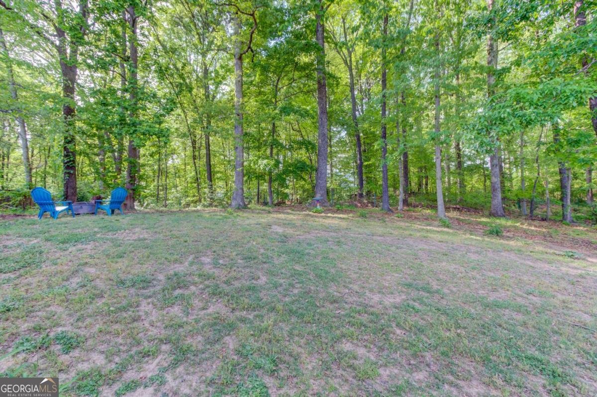 4688 Eucalyptus Way Flowery Branch - Photo 17