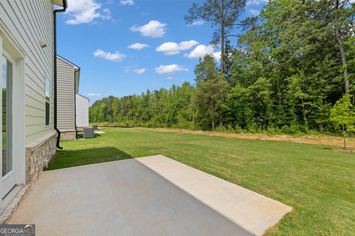 659 Whitman Lane Stockbridge - Photo 10