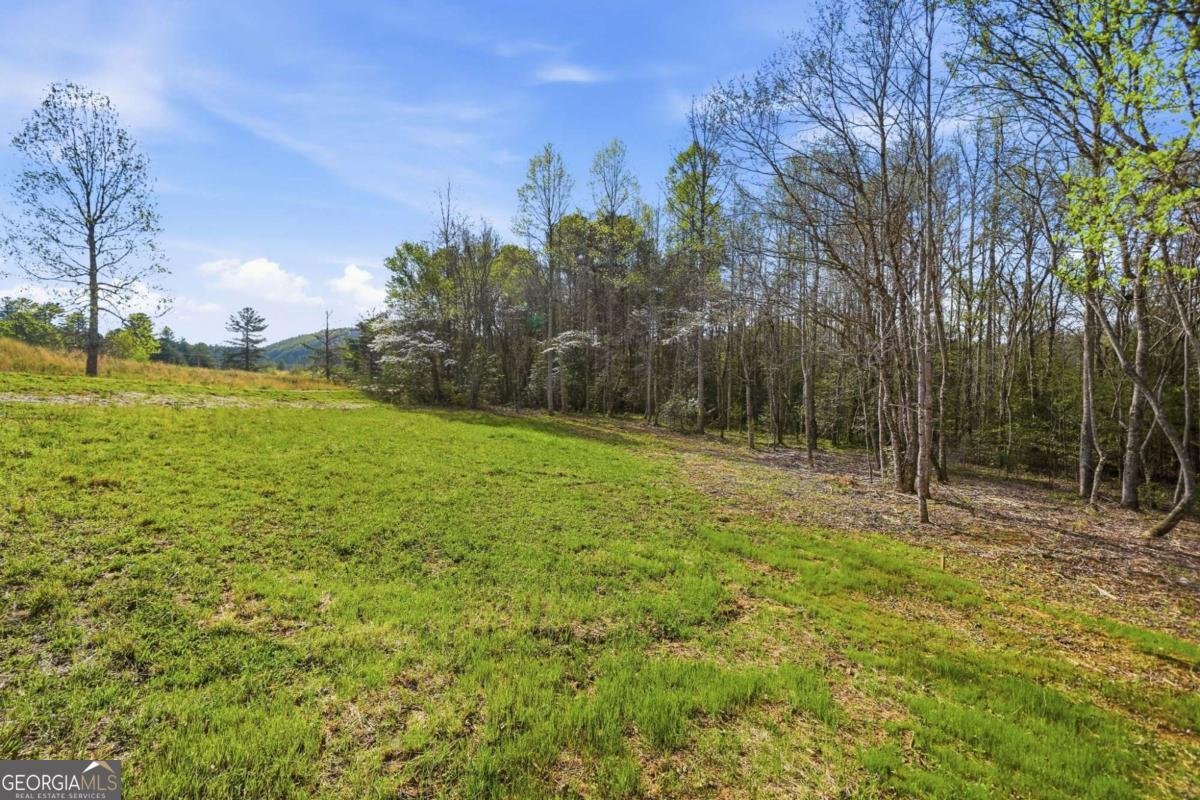 129 Sunset Trail Blairsville - Photo 17