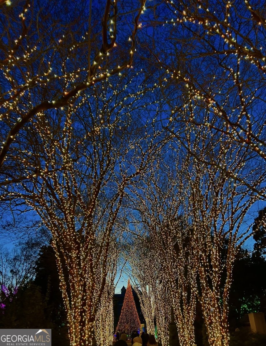 1130 Piedmont Avenue Atlanta - Photo 51