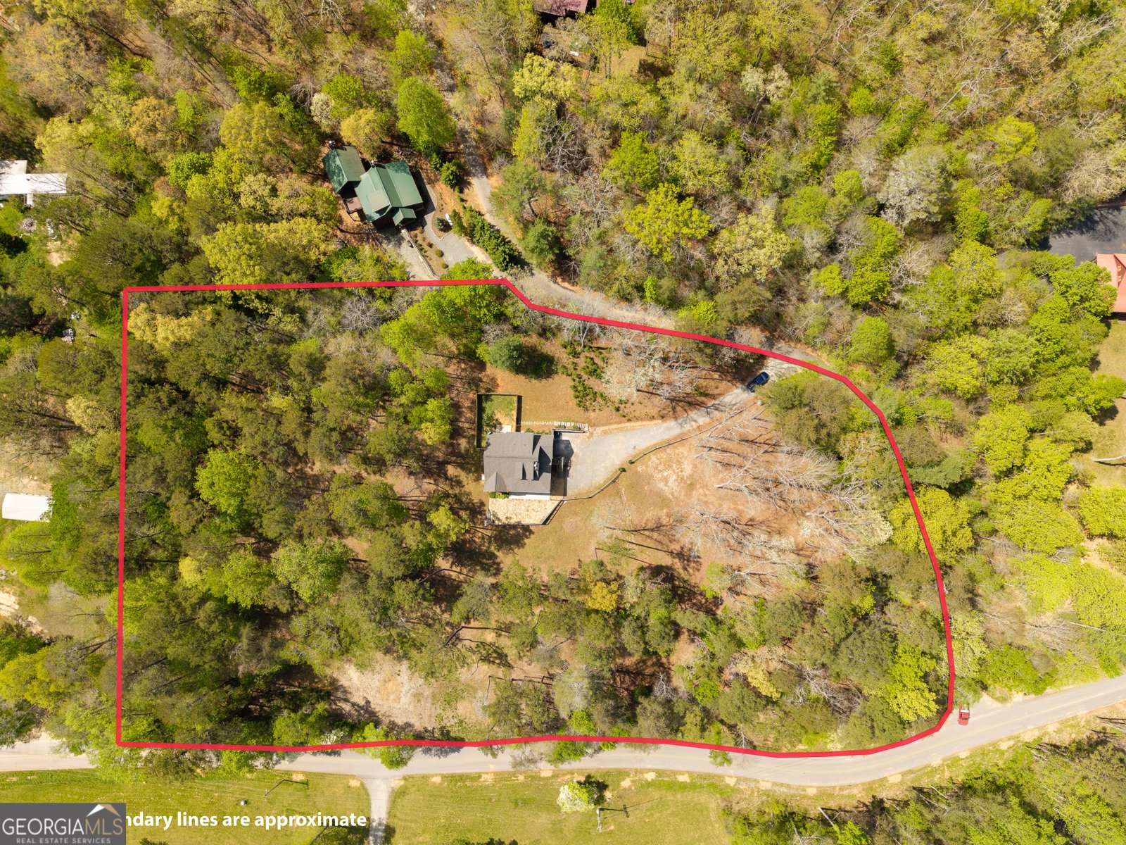 61 Overlook Road Blue Ridge - Photo 46