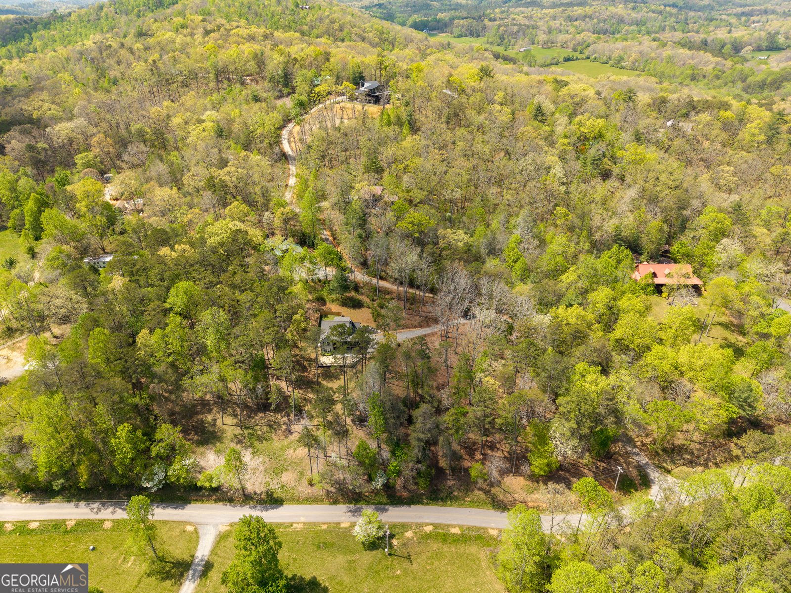 61 Overlook Road Blue Ridge - Photo 47