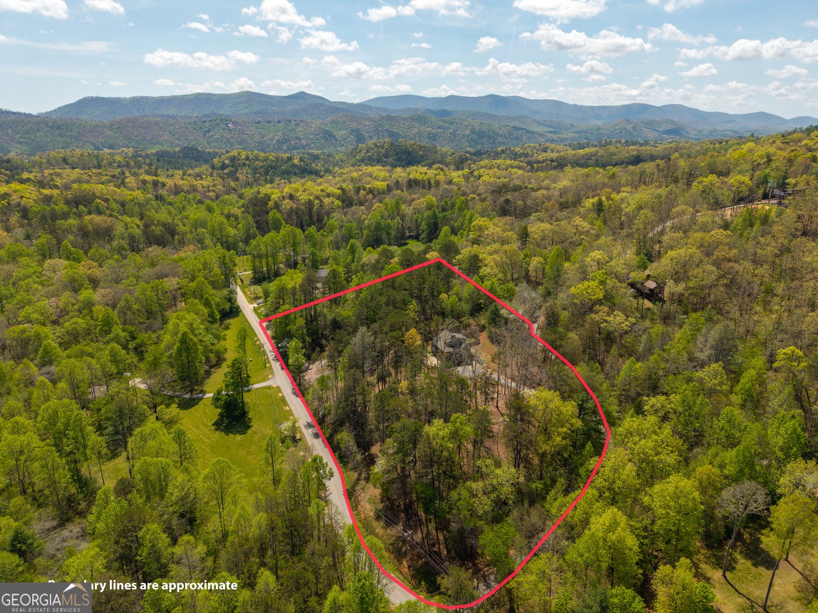 61 Overlook Road Blue Ridge - Photo 48
