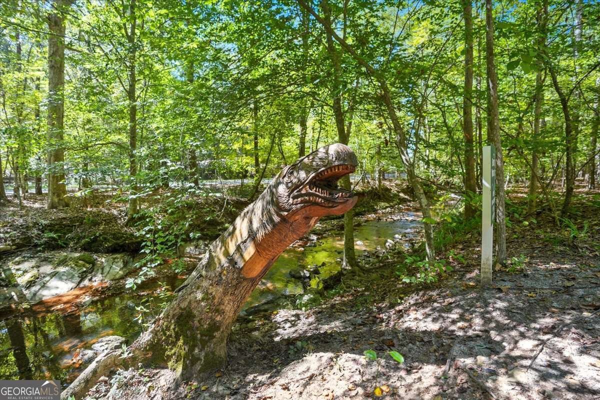 3895 Collier Trace Kennesaw - Photo 78