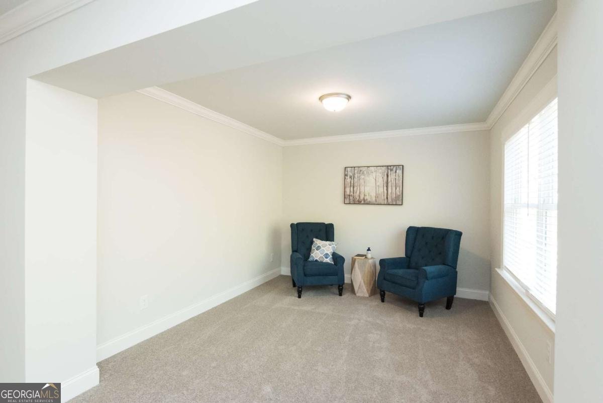 7632 Capps Ridge Lane Douglasville - Photo 28