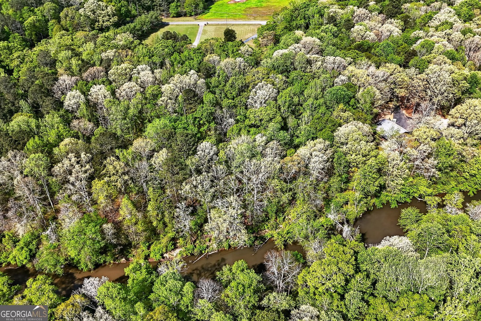 180 Riverbend Drive McDonough - Photo 55