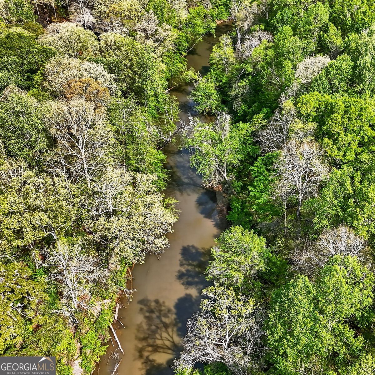 180 Riverbend Drive McDonough - Photo 56