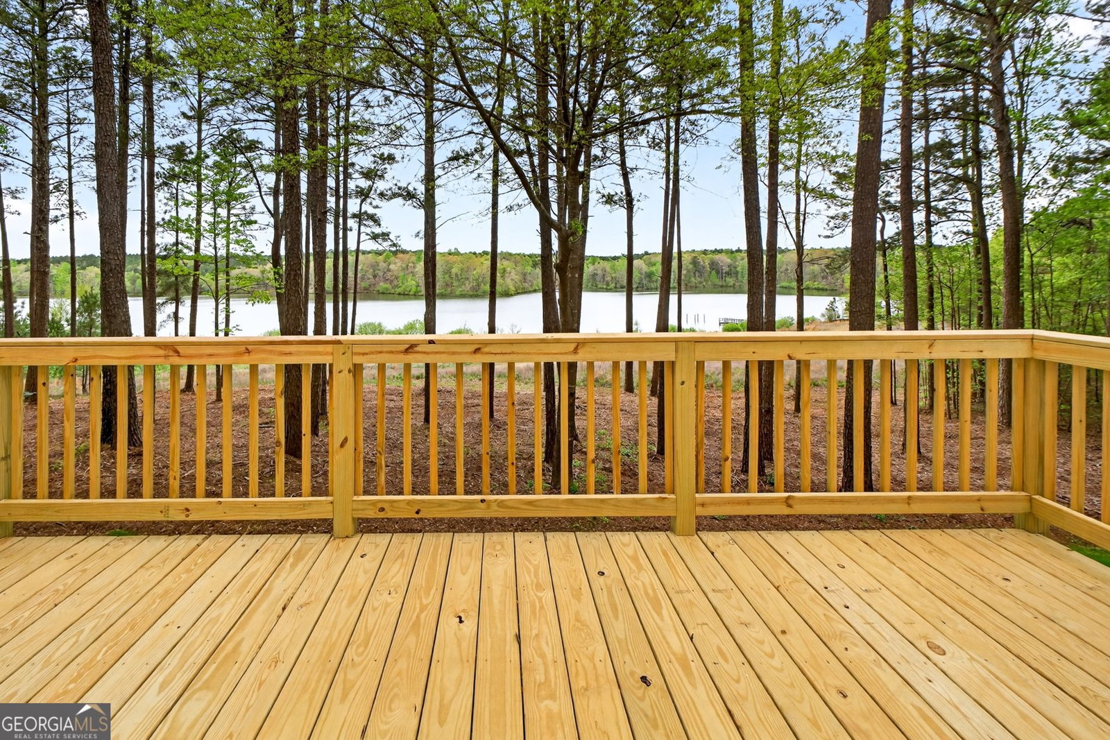 3181 Peeksville Road Locust Grove - Photo 39