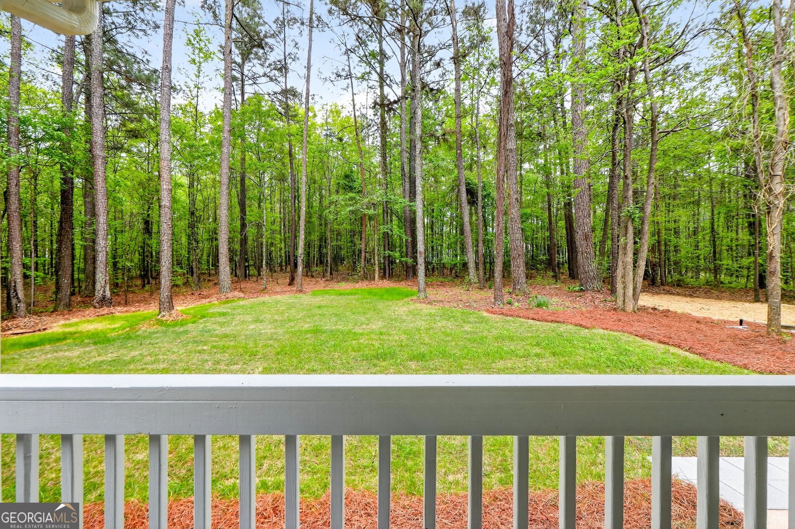 3181 Peeksville Road Locust Grove - Photo 42