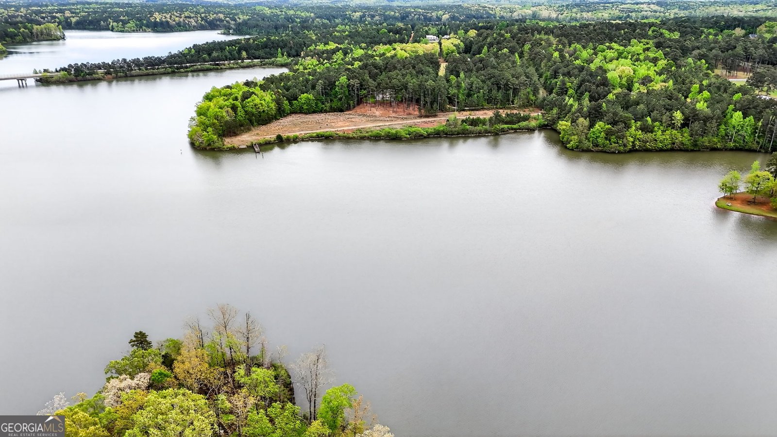 3181 Peeksville Road Locust Grove - Photo 48