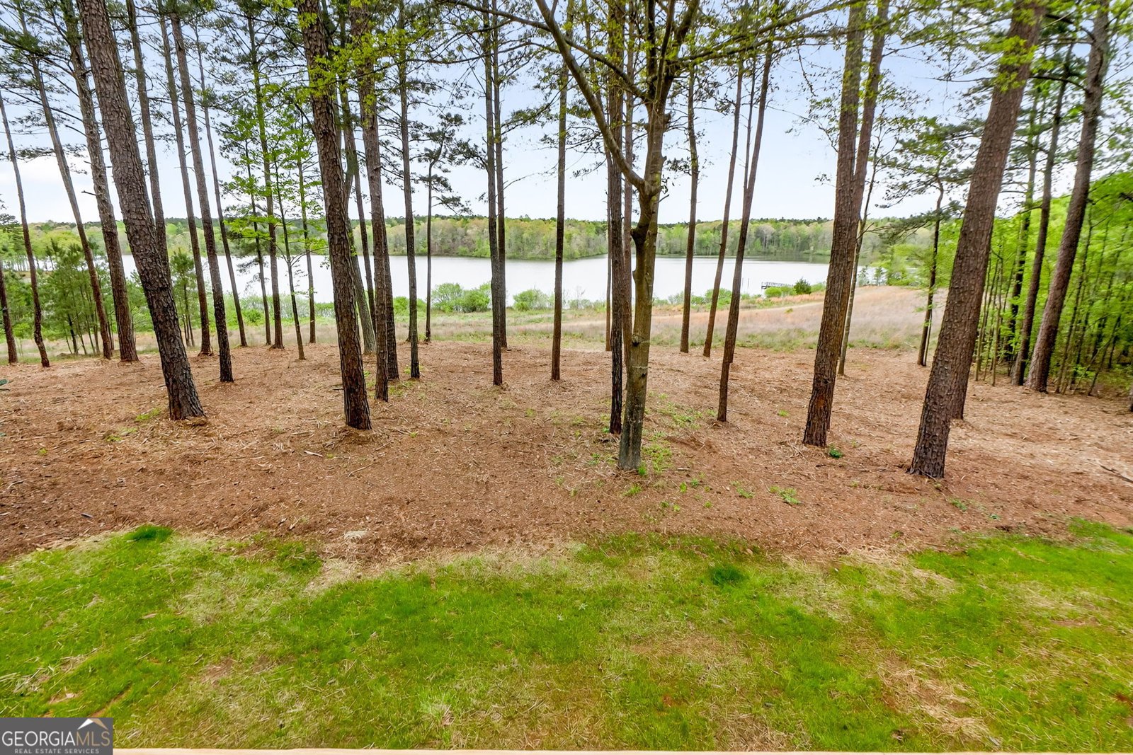 3181 Peeksville Road Locust Grove - Photo 6