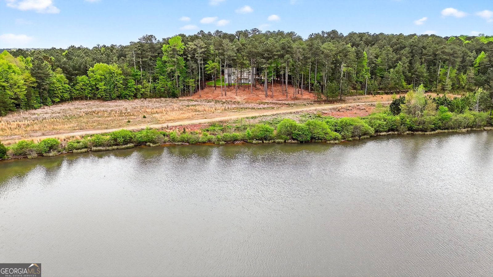 3181 Peeksville Road Locust Grove - Photo 7