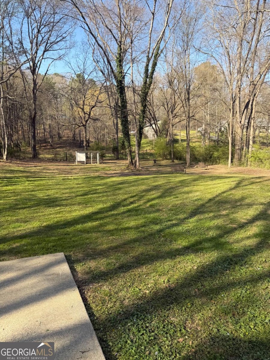 164 Laurens Road Rockmart - Photo 41