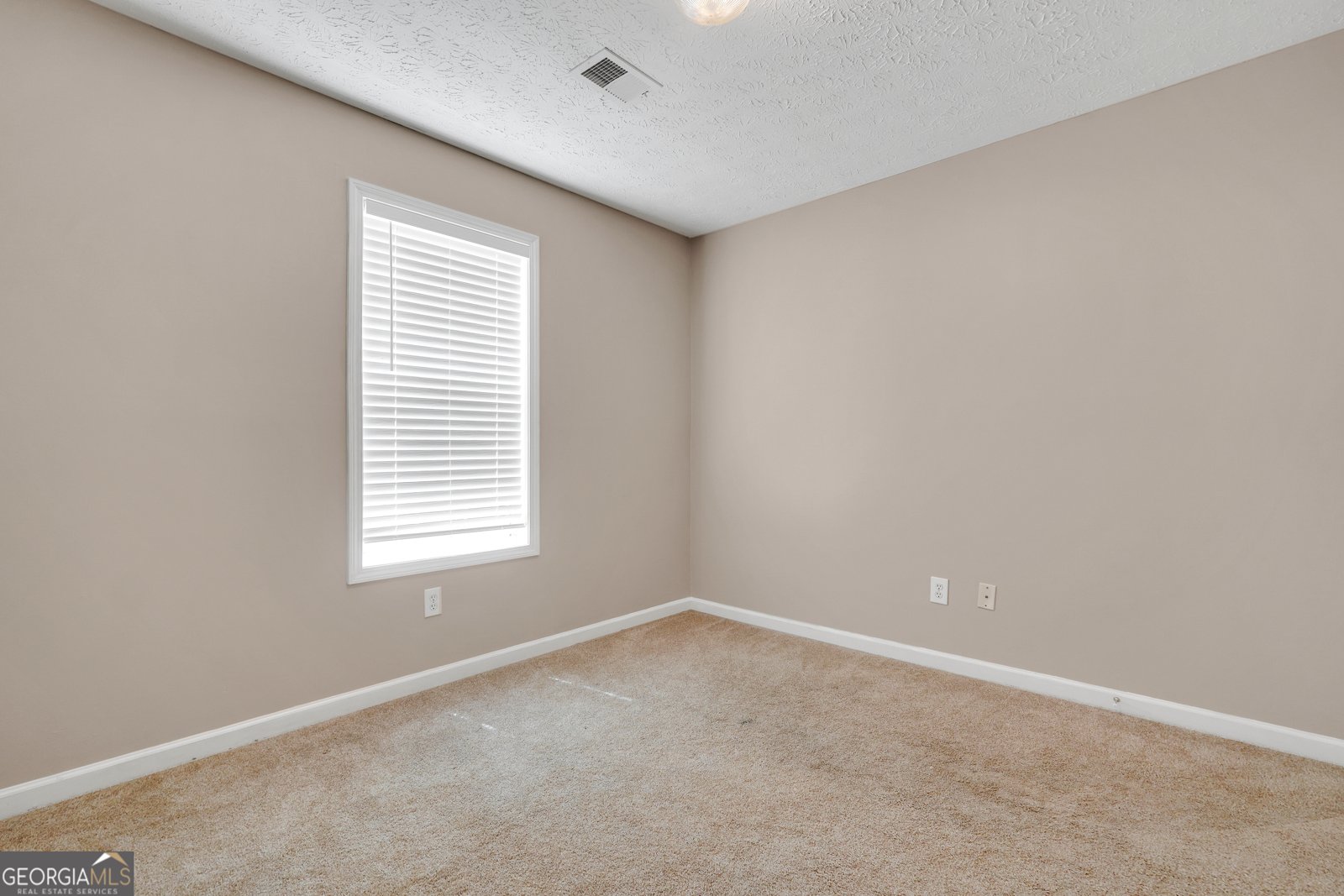 521 Sarahs Lane Locust Grove - Photo 28