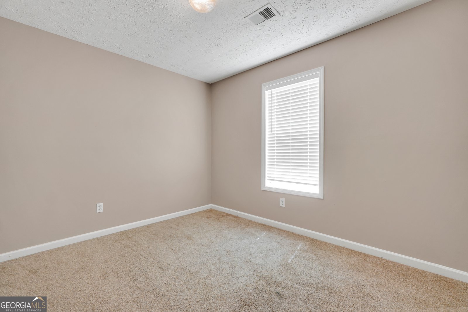 521 Sarahs Lane Locust Grove - Photo 29