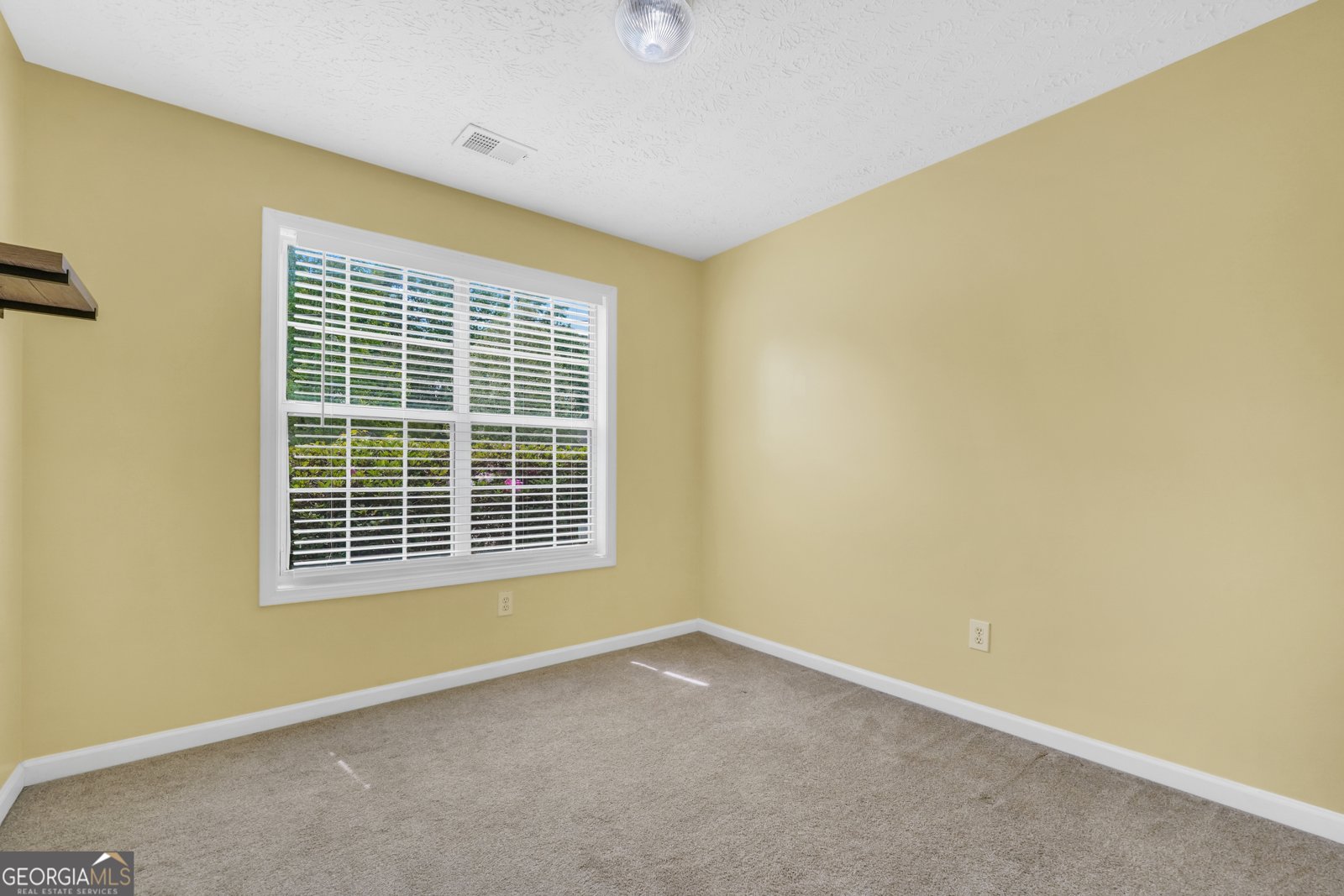 521 Sarahs Lane Locust Grove - Photo 30