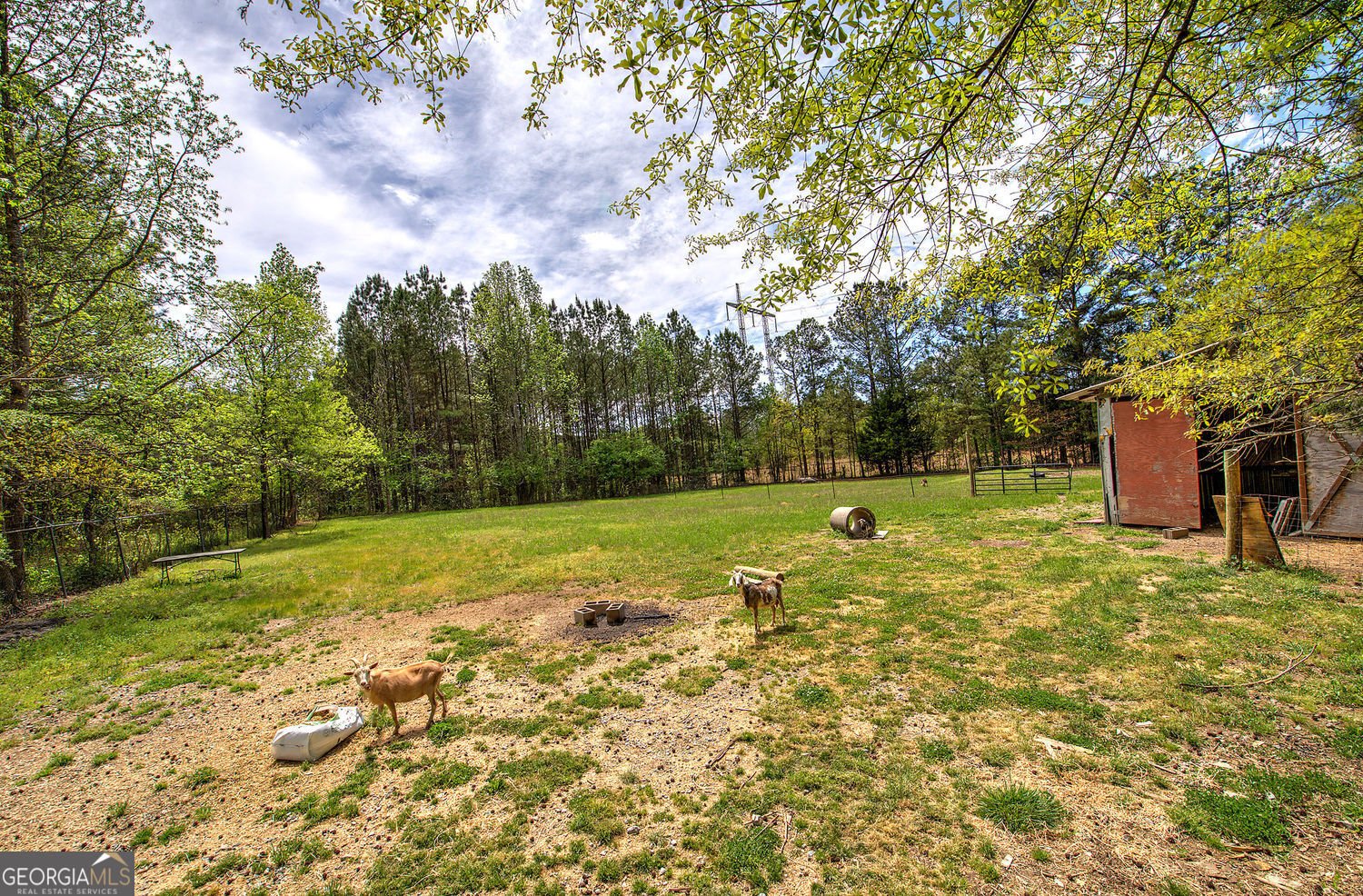 678 Wray Mine Road Buchanan - Photo 35