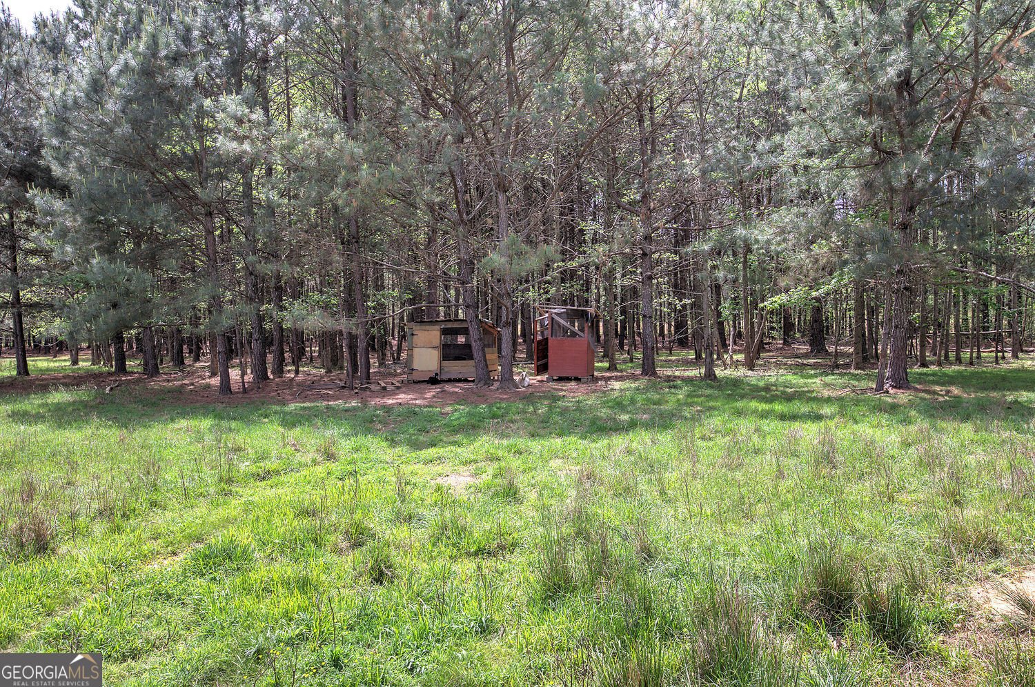 678 Wray Mine Road Buchanan - Photo 36