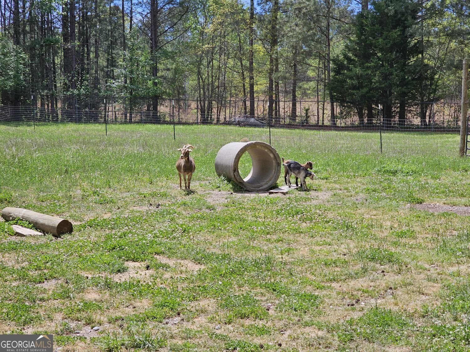678 Wray Mine Road Buchanan - Photo 41