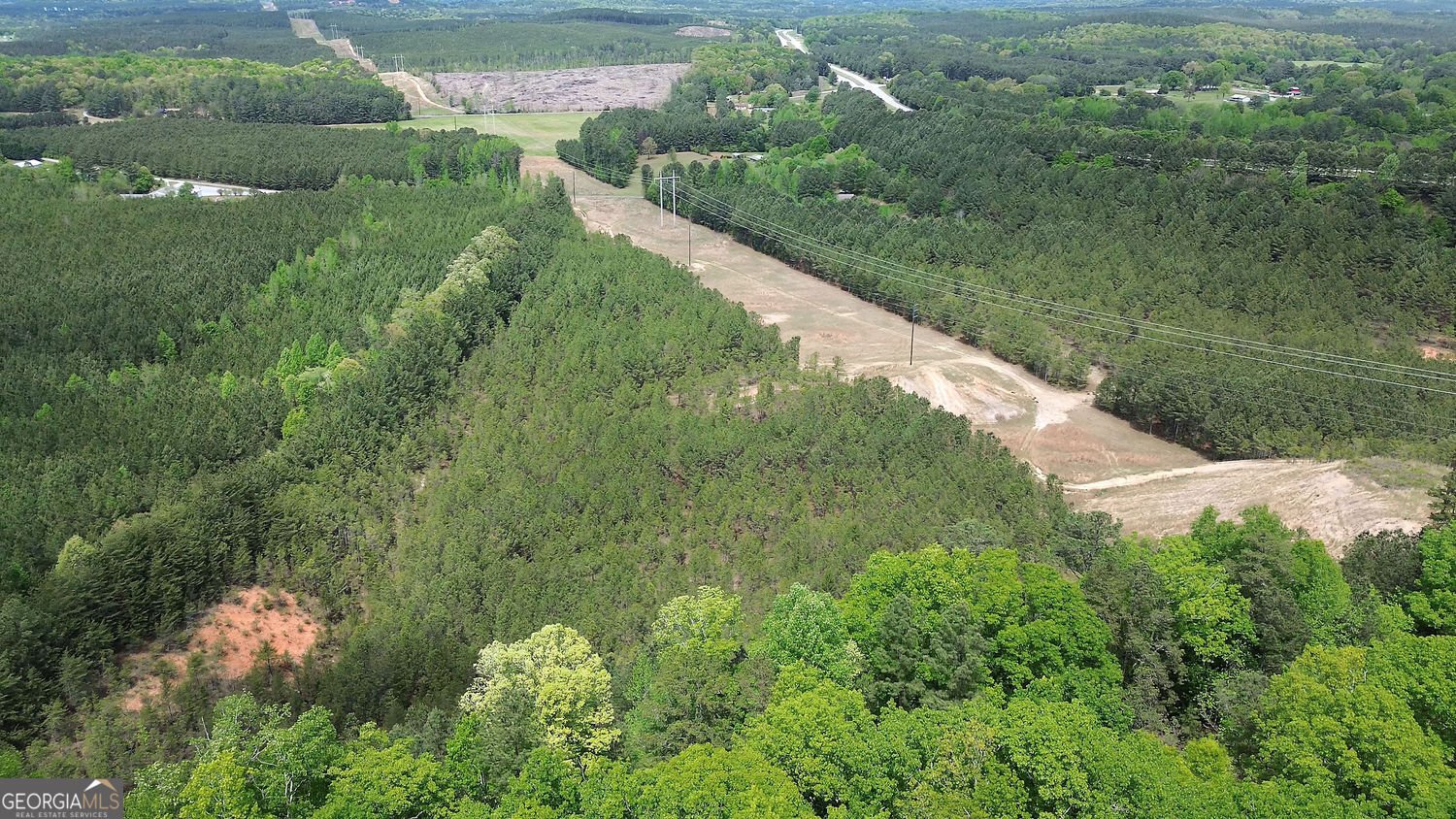 678 Wray Mine Road Buchanan - Photo 44