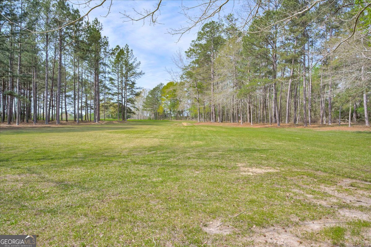 1490 Country Club Circle Wrens - Photo 37