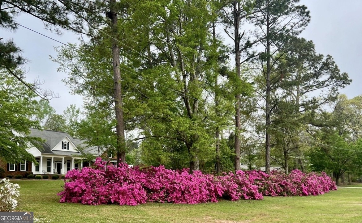 1490 Country Club Circle Wrens - Photo 40