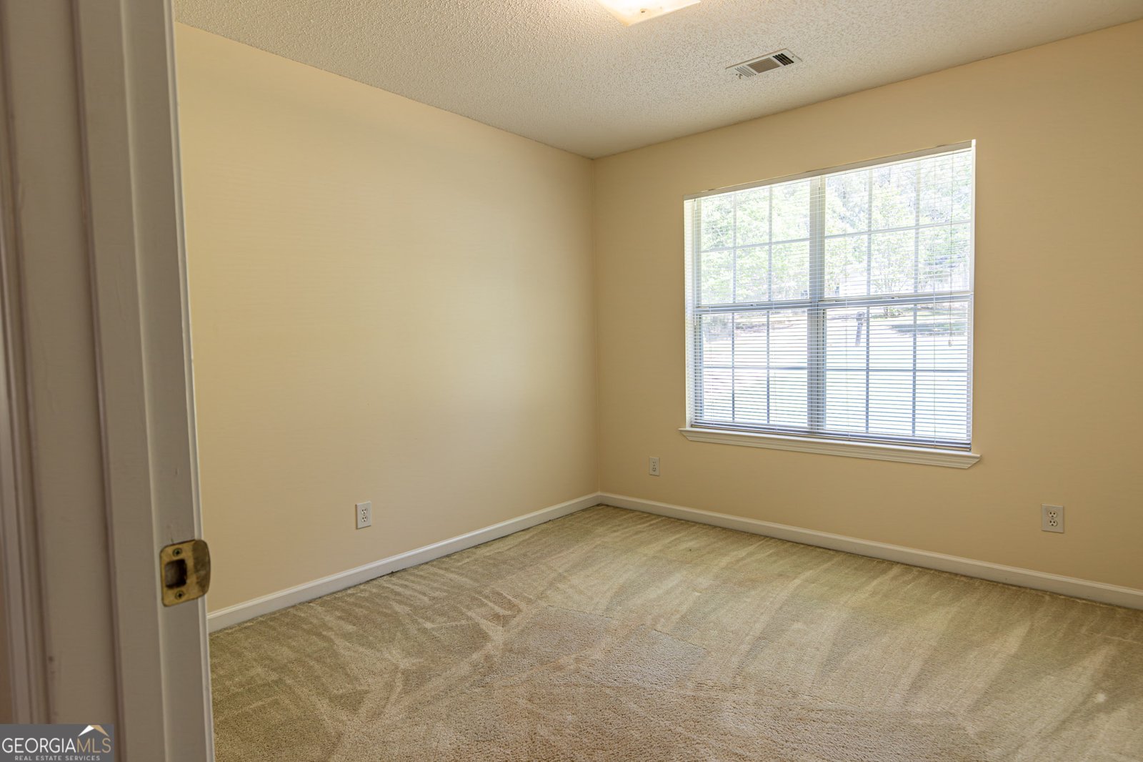 102 Honey Lane McDonough - Photo 13