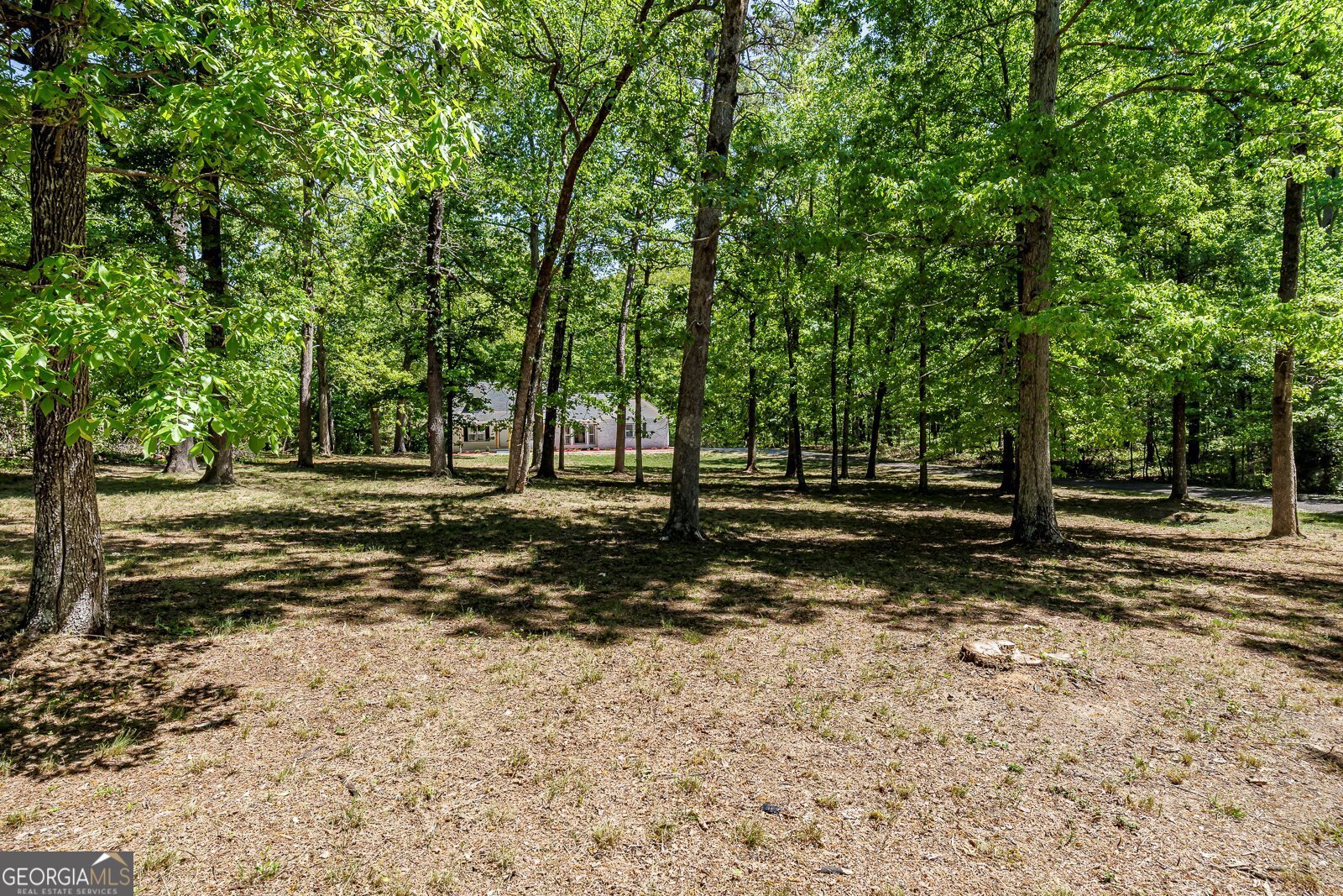 3278 Highway 155 Stockbridge - Photo 62