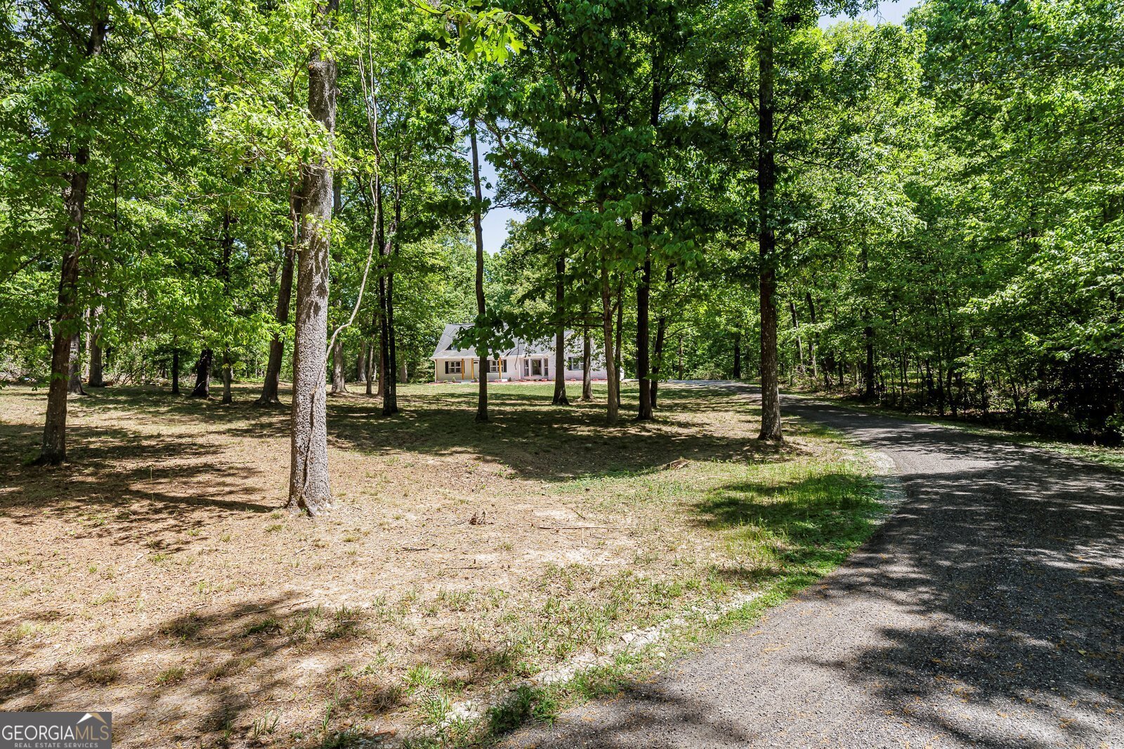 3278 Highway 155 Stockbridge - Photo 63