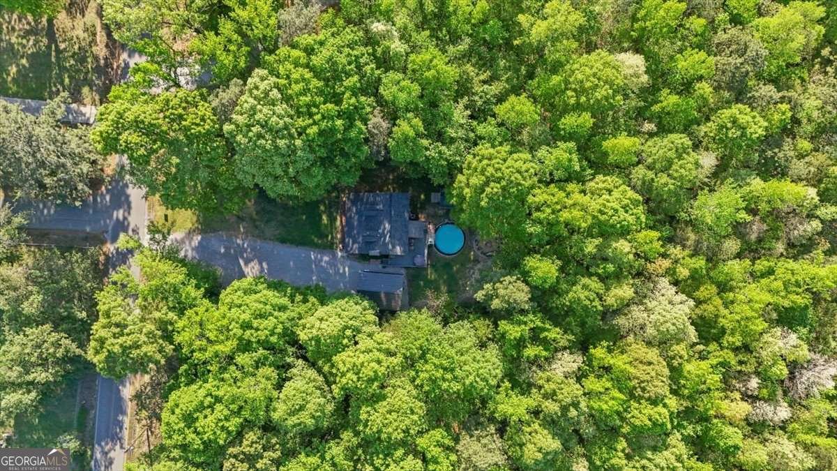 155 Pleasant Hope Road Silver Creek - Photo 40