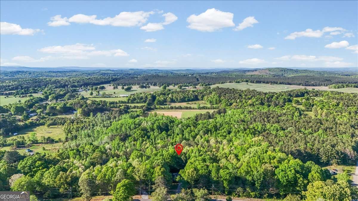 155 Pleasant Hope Road Silver Creek - Photo 42