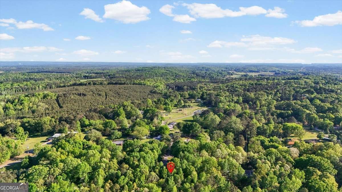 155 Pleasant Hope Road Silver Creek - Photo 43