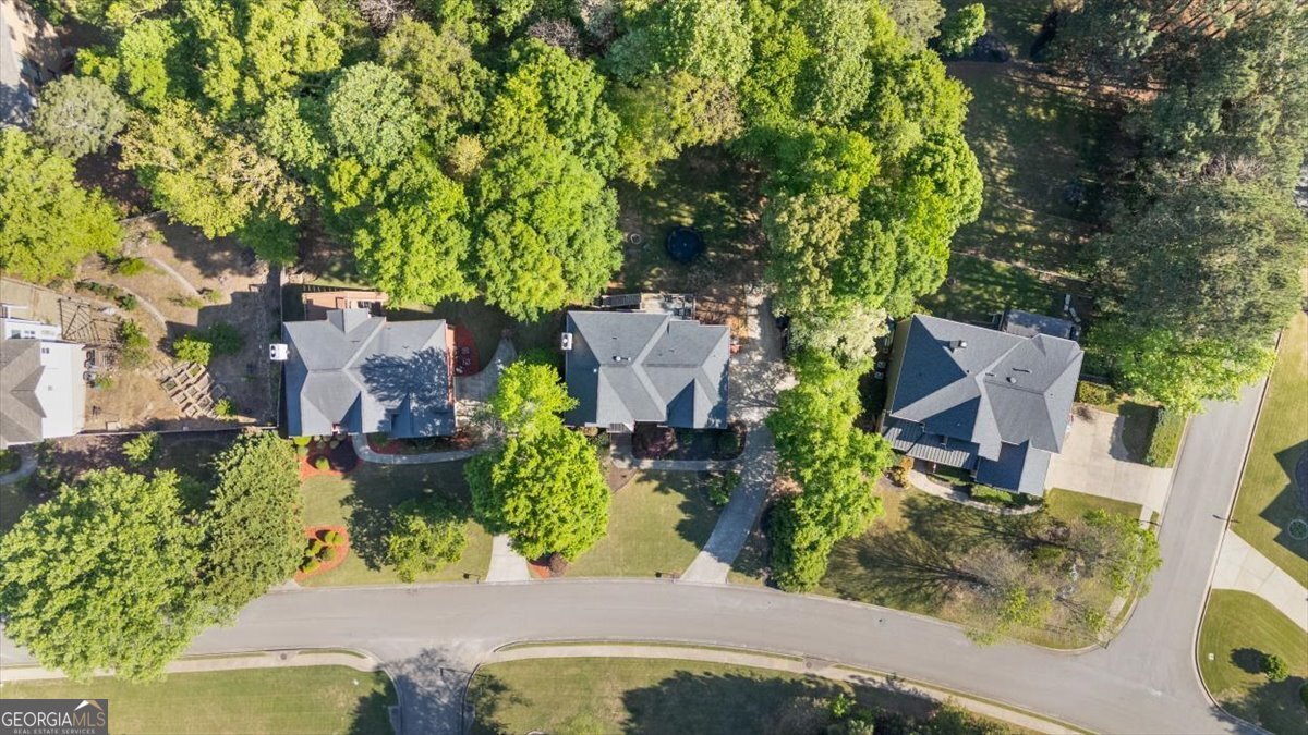 915 River Mist Drive Suwanee - Photo 53