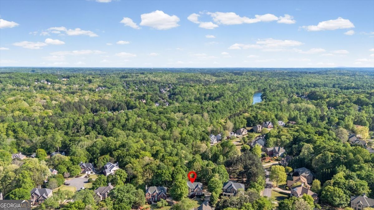 915 River Mist Drive Suwanee - Photo 54