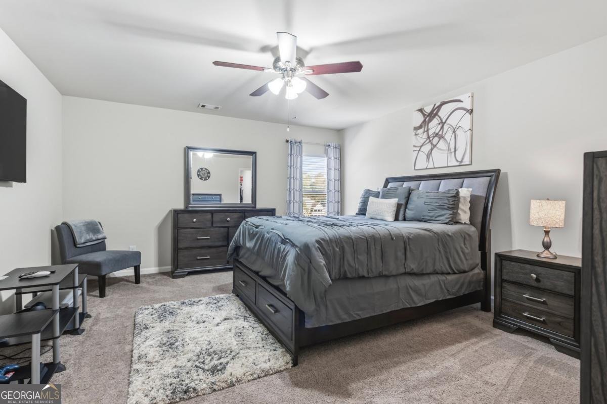 416 Union Grove Way Mcdonough - Photo 22