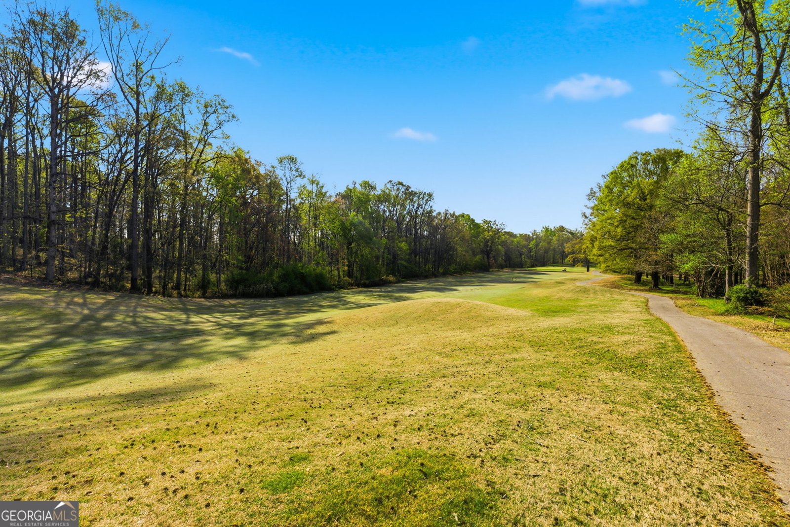 205 Cambridge Drive Athens - Photo 45