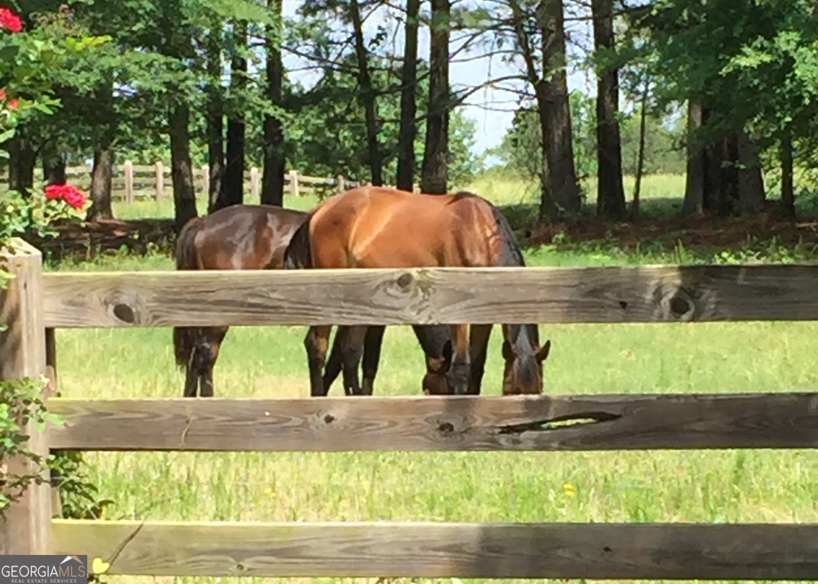 1409 Silver Thorne Court Loganville - Photo 49