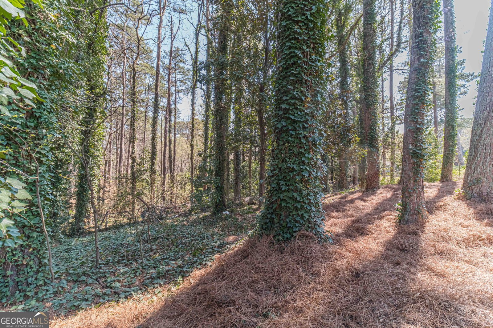 1409 Silver Thorne Court Loganville - Photo 55