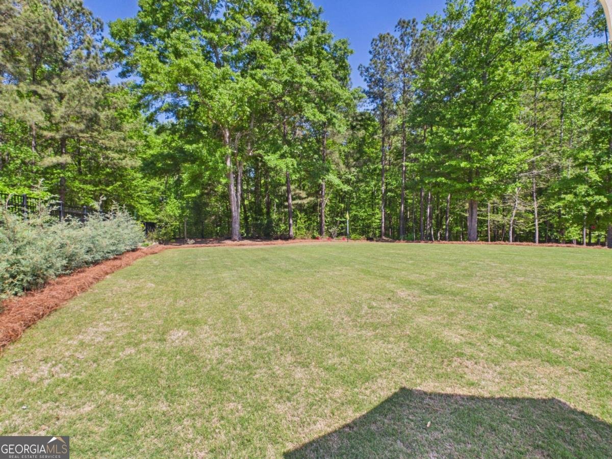4080 Brookhaven Drive Watkinsville - Photo 46