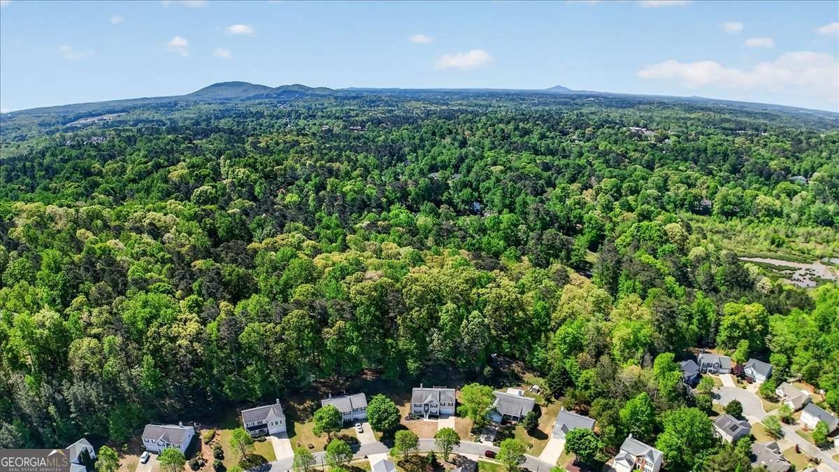 1054 River Plantation Drive Woodstock - Photo 34