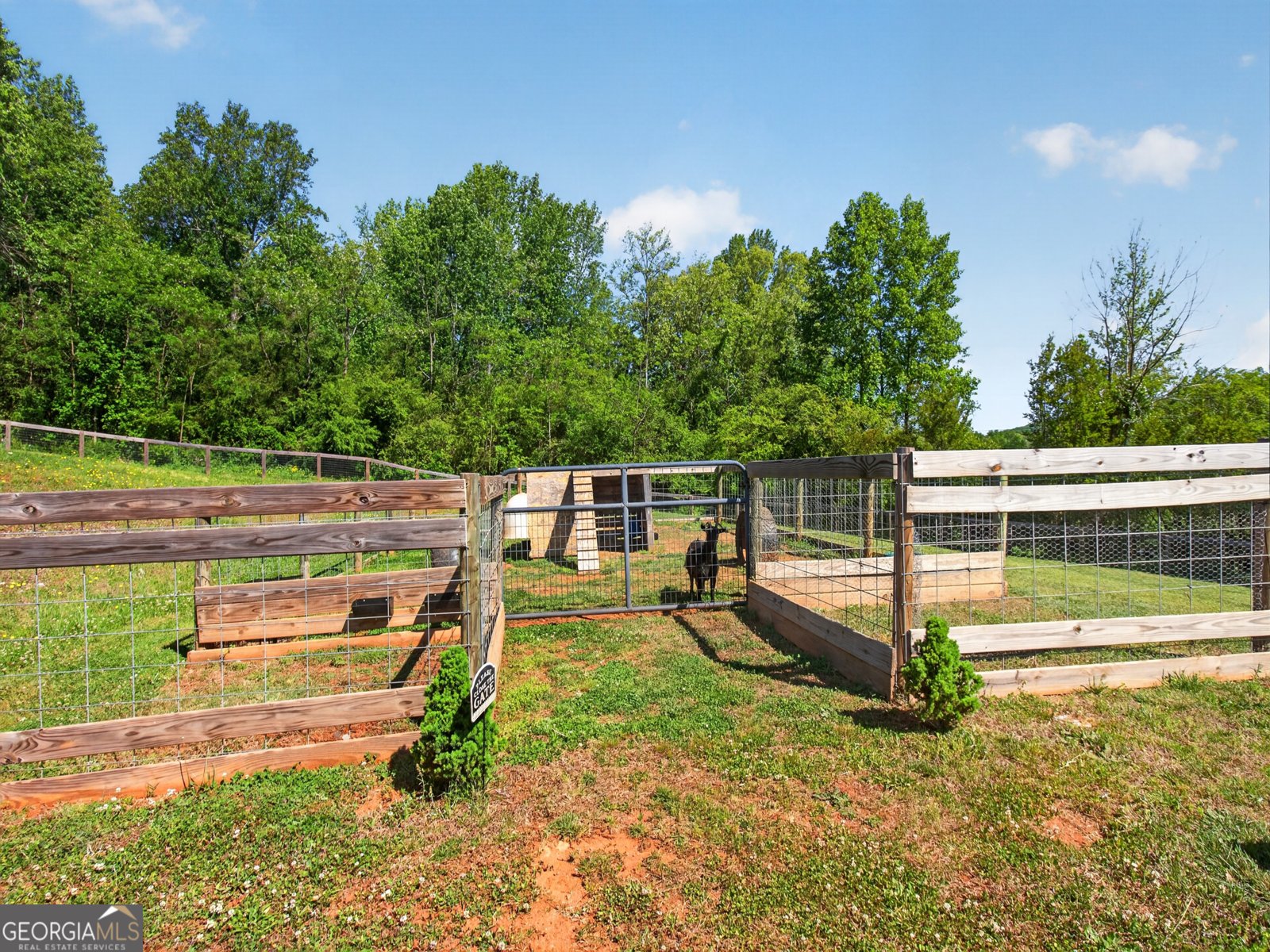 6920 Holly Springs Road Clermont - Photo 72