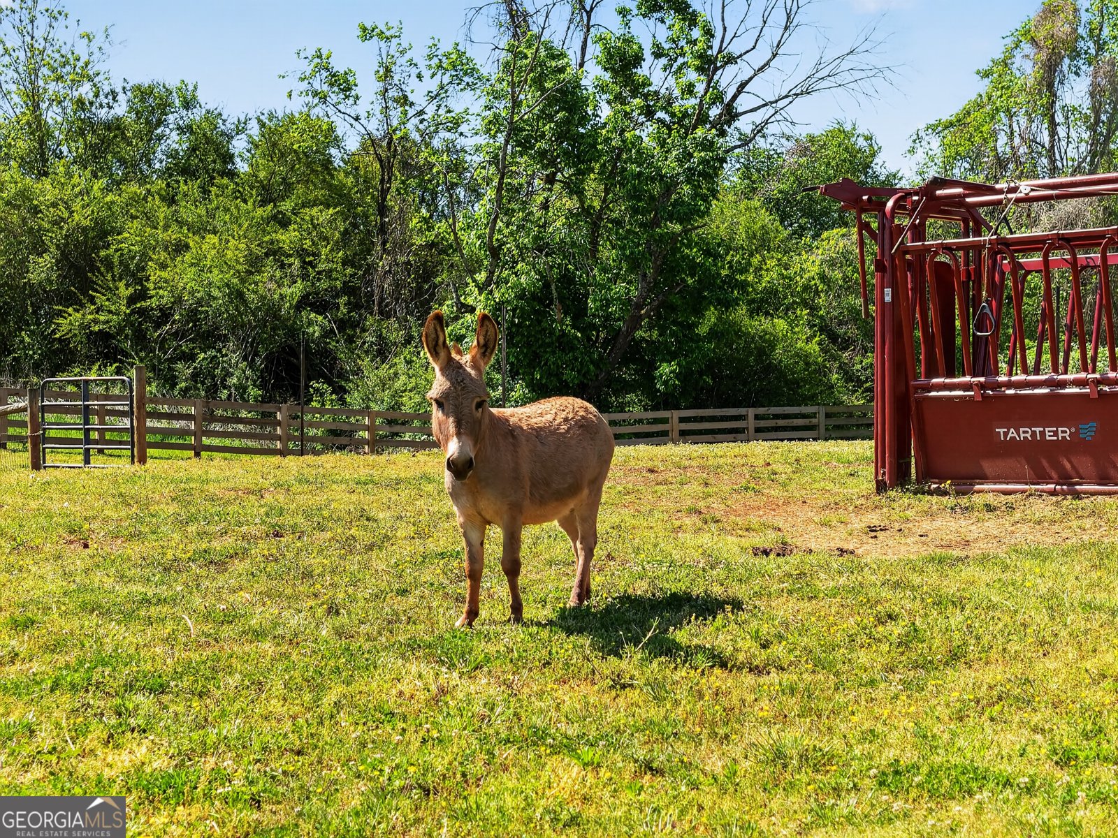 6920 Holly Springs Road Clermont - Photo 81