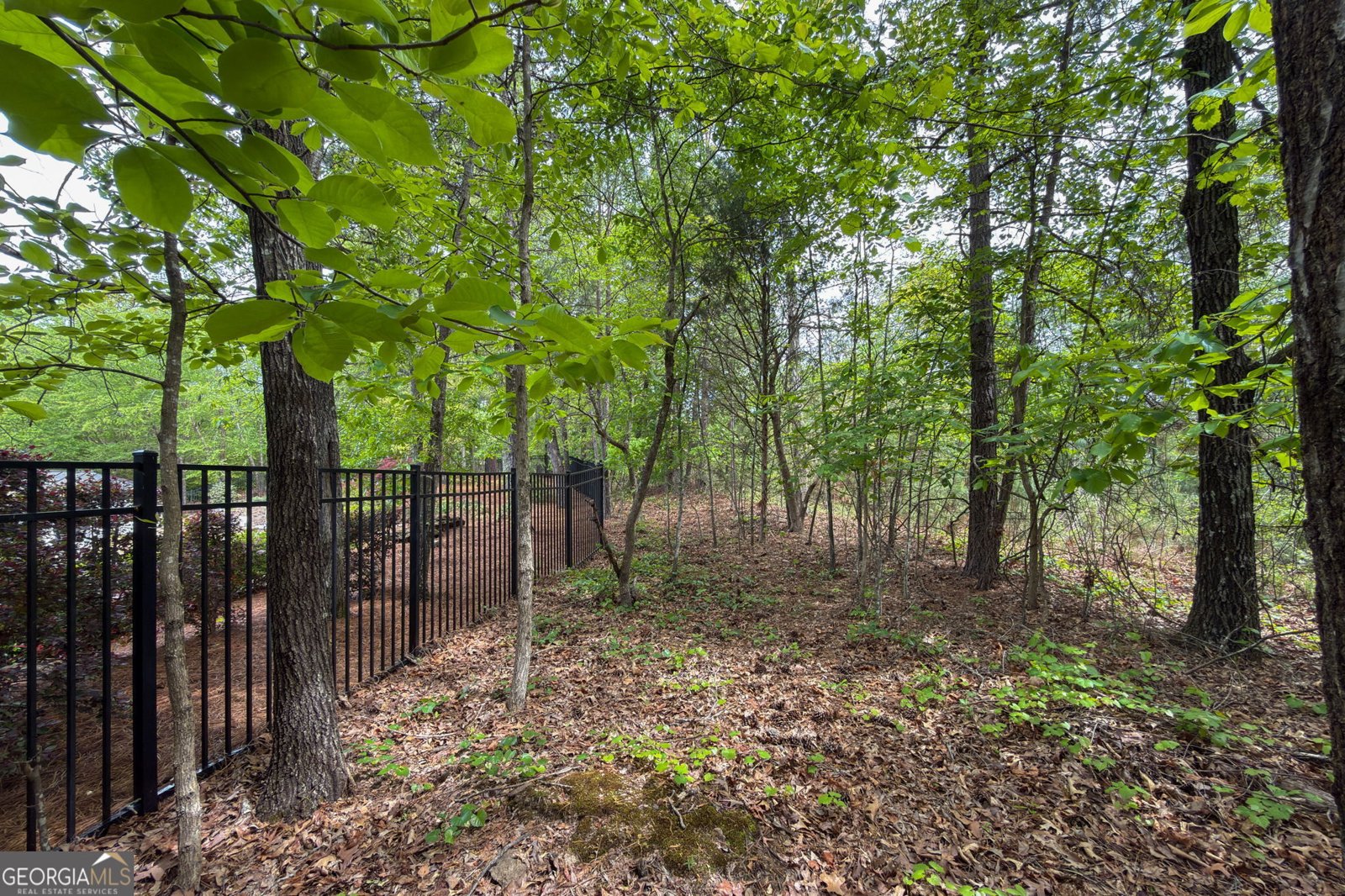 320 Willow Glade Point Johns Creek - Photo 78