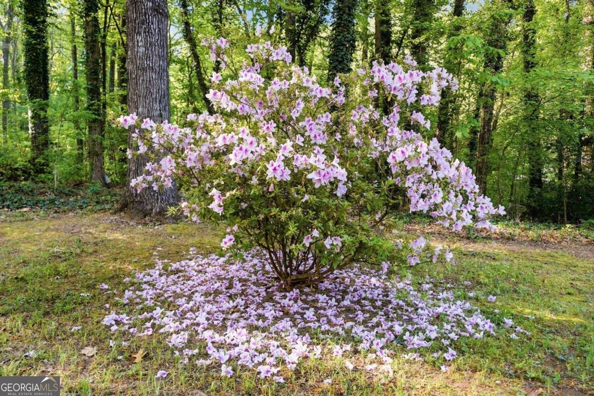 5730 Goldfield Drive Acworth - Photo 52