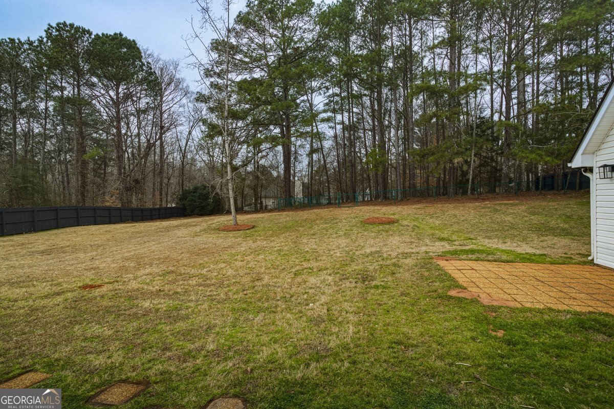 122 Shadow Lake Drive Conyers - Photo 12