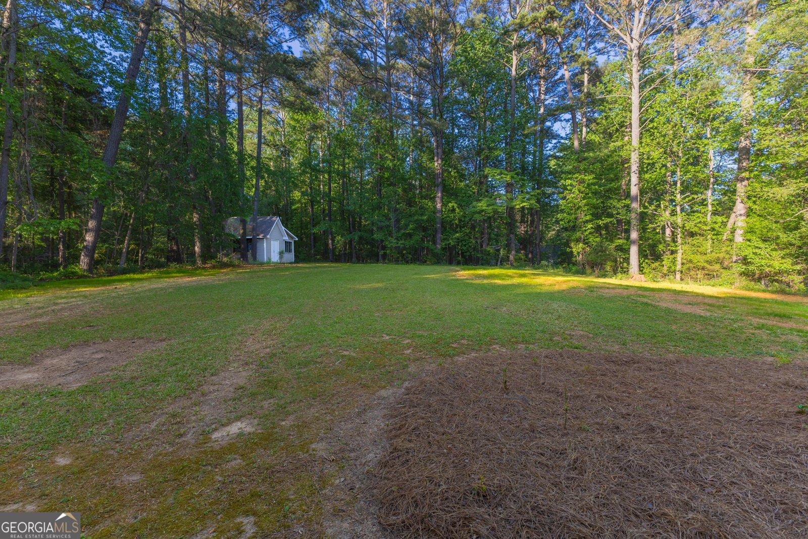 230 Whitney Way Fayetteville - Photo 39